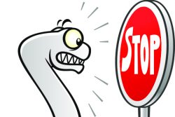 Дюжина мифов о гельминтах