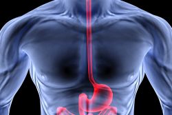 Рентгенологические методы в диагностике болезней пищеварения