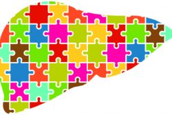 Ожирение печени: симптомы, лечение и профилактика