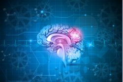 Инсульт — симптомы, лечение, профилактика