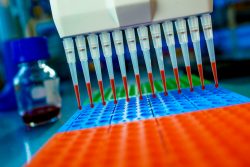 ПЦР-анализ: что это такое, показания и подготовка к исследованию