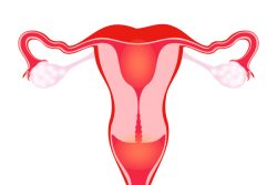 Седловидная матка и беременность