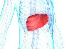 Синдром портальной гипертензии при циррозе печени