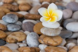 Камни и здоровье: время лечить и время собирать…