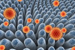 Ротавирусная инфекция: симптомы и лечение