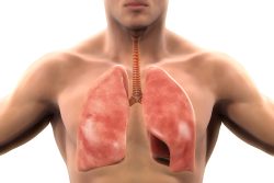 Медиастиноскопия: что это, показания, методика проведения