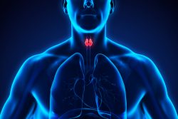 Заболевания щитовидной железы у мужчин: симптомы, лечение и профилактика