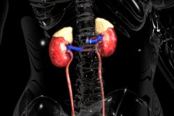 Гормонально-активные опухоли надпочечников: кортикостерома, андростерома и кортикоэстрома