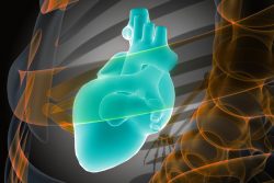 Миокардиодистрофия: симптомы и лечение