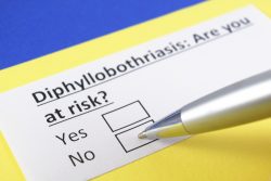Дифиллоботриоз у человека: диагностика, лечение и профилактика