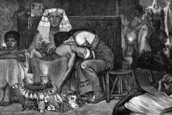 Бубонная чума: симптомы и лечение