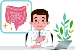 Отделы кишечника: строение, функции