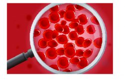 Признаки заболеваний крови