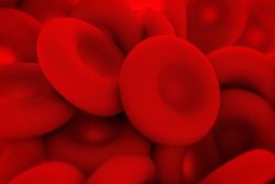 МНО: что это за анализ, норма в крови, методы контроля