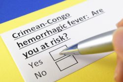 Геморрагическая лихорадка Крым-Конго: особенности течения и лечения