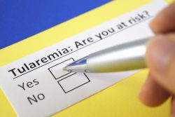 Туляремия: возбудитель и симптомы