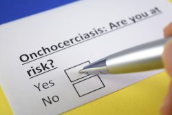 Онхоцеркоз: признаки, лечение, профилактика