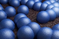 Стафилококковая инфекция: симптомы, принципы диагностики и лечения