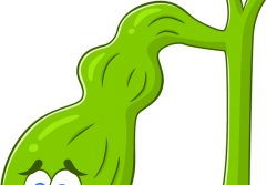 Водянка желчного пузыря: причины, симптомы, лечение