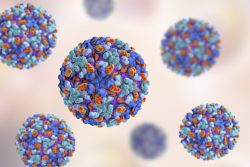 Омская геморрагическая лихорадка: причины, симптомы, лечение