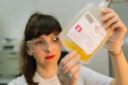 Показания к переливанию плазмы, как ее получают