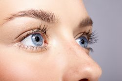 Что такое сетчатка глаза, ее строение и функции