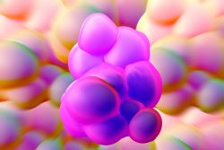 Пуповинная кровь: для чего нужна, стоимость и хранение