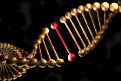 Синдром Неймеген: причины, симптомы, как помочь больному