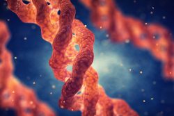 Хондрома: особенности течения, современные методы лечения