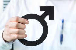 Гормоны, вырабатываемые в яичке: значение для организма