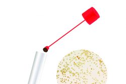 Клостридии в кале: причины, что делать