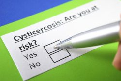 Цистицеркоз у человека: почему возникает, чем проявляется