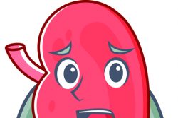 Шоковая почка: причины, симптомы, лечение