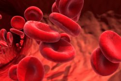 Стадии ДВС-синдрома