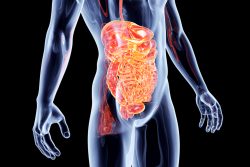 Компьютерная томография кишечника: показания, противопоказания, как проводят