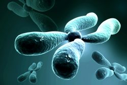 Синдром Шерешевского-Тернера: причины и симптомы