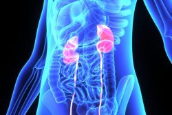 Если на УЗИ почек обнаружили «песок»…