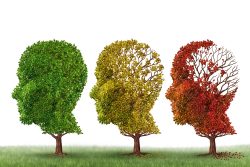 10 заблуждений о болезни Альцгеймера