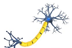 Злокачественная шваннома: особенности течения и лечения