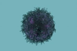 Лимфома легкого: симптомы, лечение