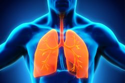 Лимфома средостения: особенности течения, современные методы лечения