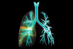 Бронхиолит у взрослых: особенности течения, принципы лечения