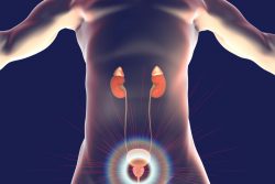 Аденома почки: симптомы, принципы лечения