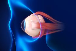 Патология глазодвигательных мышц: виды и проявления (косоглазие, нистагм)