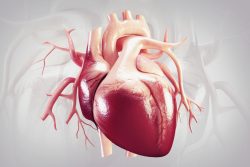 Блокада левой ножки пучка Гиса: причины, признаки на ЭКГ, лечение