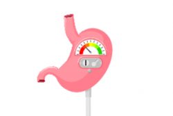 Внутрижелудочная pH-метрия: варианты исследования, показания и противопоказания, как правильно подготовиться и как выполняется процедура