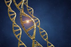 Синдром Блоха-Сульцбергера: симптомы, лечение