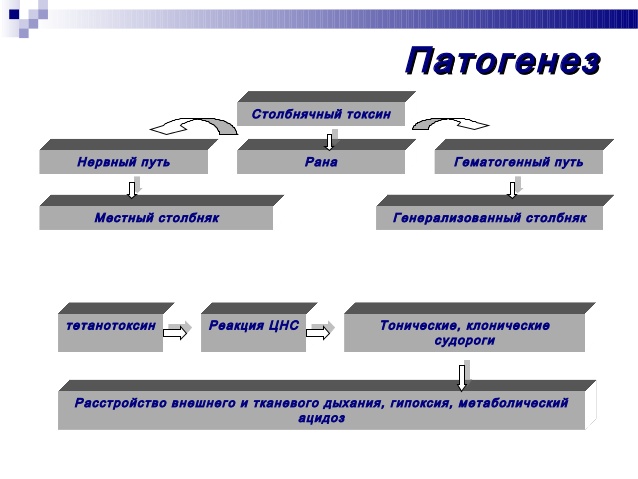 Столбняк у человека причины и симптомы