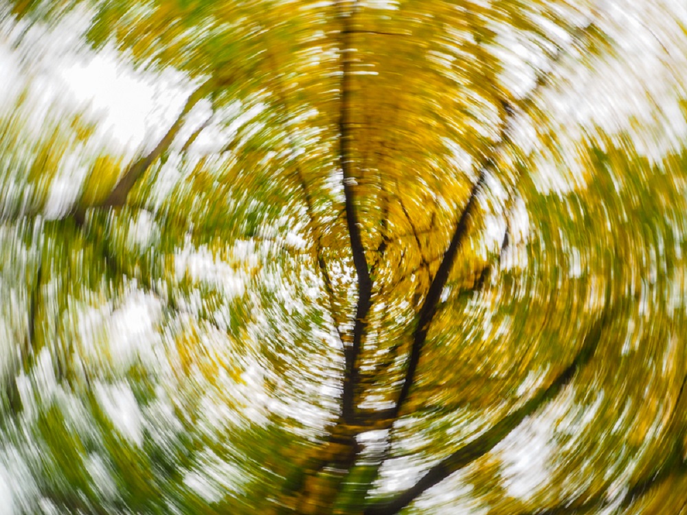 Вестибулярный нейронит: причины, симптомы, принципы диагностики и лечения