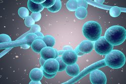 Отомикоз: симптомы и лечение